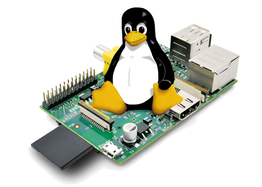 Tux seduto su un Raspberry PI