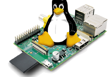 Tux seduto su un Raspberry PI