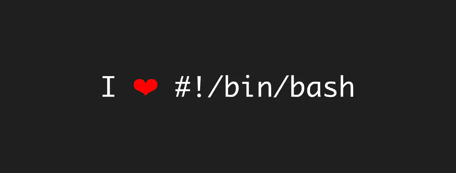 Un immagine con uno sfondo grigio scuro e con una scritta in bianco I love bin bash