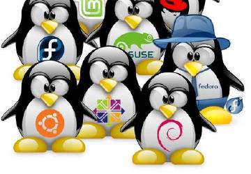 Gruppo di Tux di varie distribuzioni