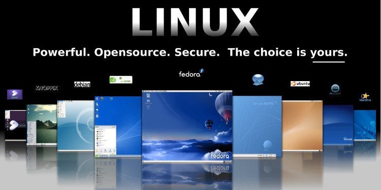 scegli linux